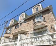 シャイリービーナス