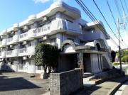 エクセルマンションマロニエ