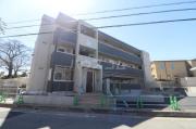 T′s court