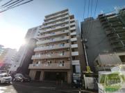 セントポーリアカルーア