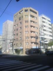 Peaceful Court 菊川