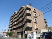 ＪＲ阪和線信太山駅まで徒歩5分