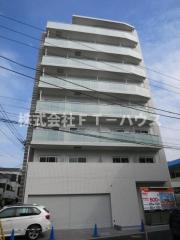 Hale Arai