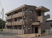 DI本町