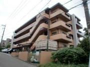 市ヶ尾529 7森ビル