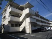 リアルM