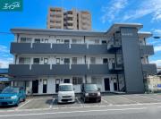 Real西古松
