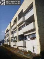 OHANA COURT-3