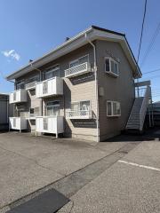 ニューエルディム島崎 C