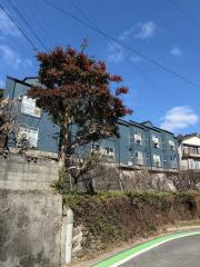 コーポ宿町