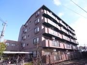 ゑびす若林