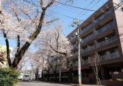 東急田園都市線たまプラーザ駅まで徒歩7分