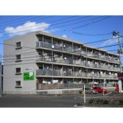 大野田ハイツ