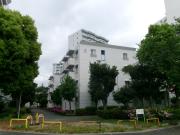 市営井高野住宅5号館