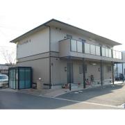 ミレニアム金光