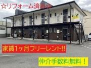 ロイヤルパレス彩佳A棟