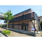 アムール 白樺