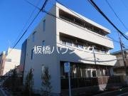 サンセベリアII