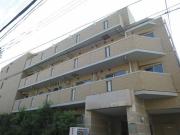 RISESTAGE MAGOME