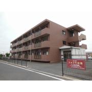 ショコラ白枝