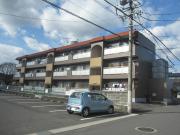 コーポマルイ