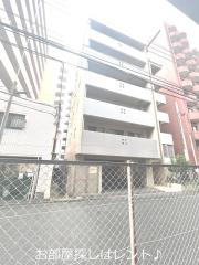 メゾンコガネ
