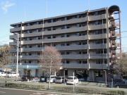 菊田参番館
