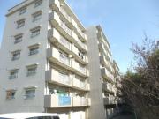 Motomachi Hills 