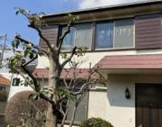 東京メトロ丸ノ内線南阿佐ケ谷駅まで徒歩12分