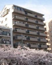 バイムフルス白金I