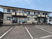 ステラ猪野