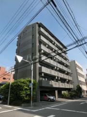 T.パラッツオ