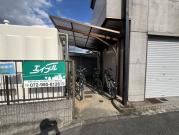 サニ-コ-ト