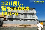 コーポ銀杏上南部