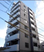 DIPS小竹向原