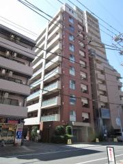 Primal Machida 