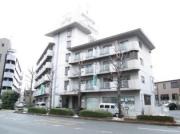 セシル古市