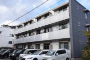 クローバー白島