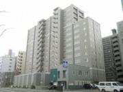 JP noie 円山表参道