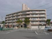 フェリス フェンテ