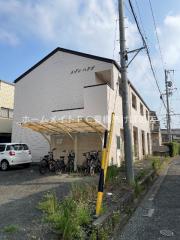 ホワイトアロー