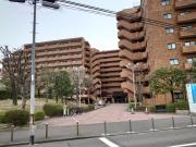 朝日プラザ柏木