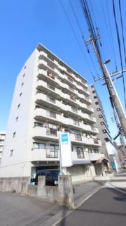 サンテラス近藤