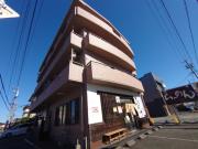 オリーブ