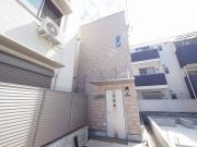 Spray mum スプレーマム