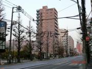 ナイスアーバン文京向丘