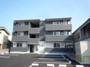 D-roomCVII