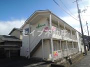 Kグレース