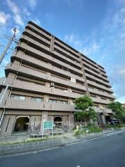 アンドユーイワキ・東大阪