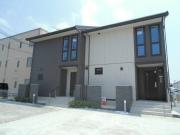 calma （カルマ） A